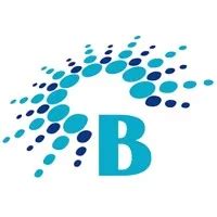BLUESUN PHILIPPINES, INC. .